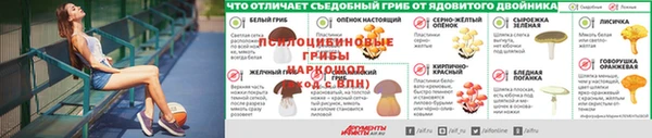 MESCALINE Пересвет