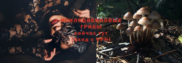 MESCALINE Пересвет