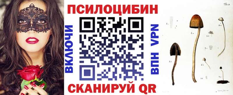 Купить где  Киров  Псилоцибиновые грибы Psilocybine cubensis 