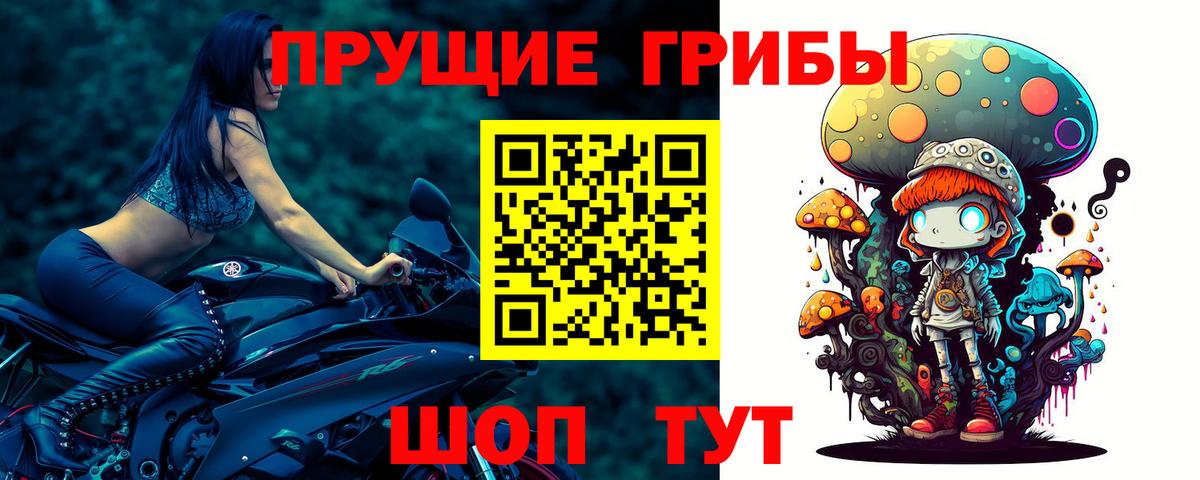 Псилоцибиновые грибы прущие грибы Киров