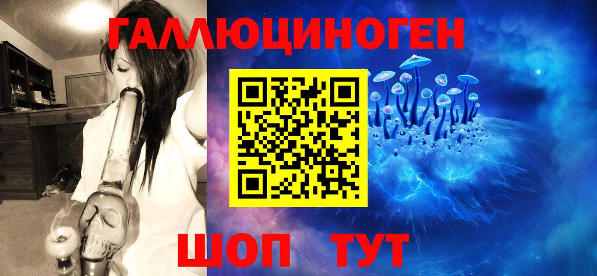 Галлюциногенные грибы GOLDEN TEACHER  Псилоцибиновые грибы Psilocybine cubensis  Киров 